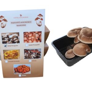 Shiitake auginimo pakuotė