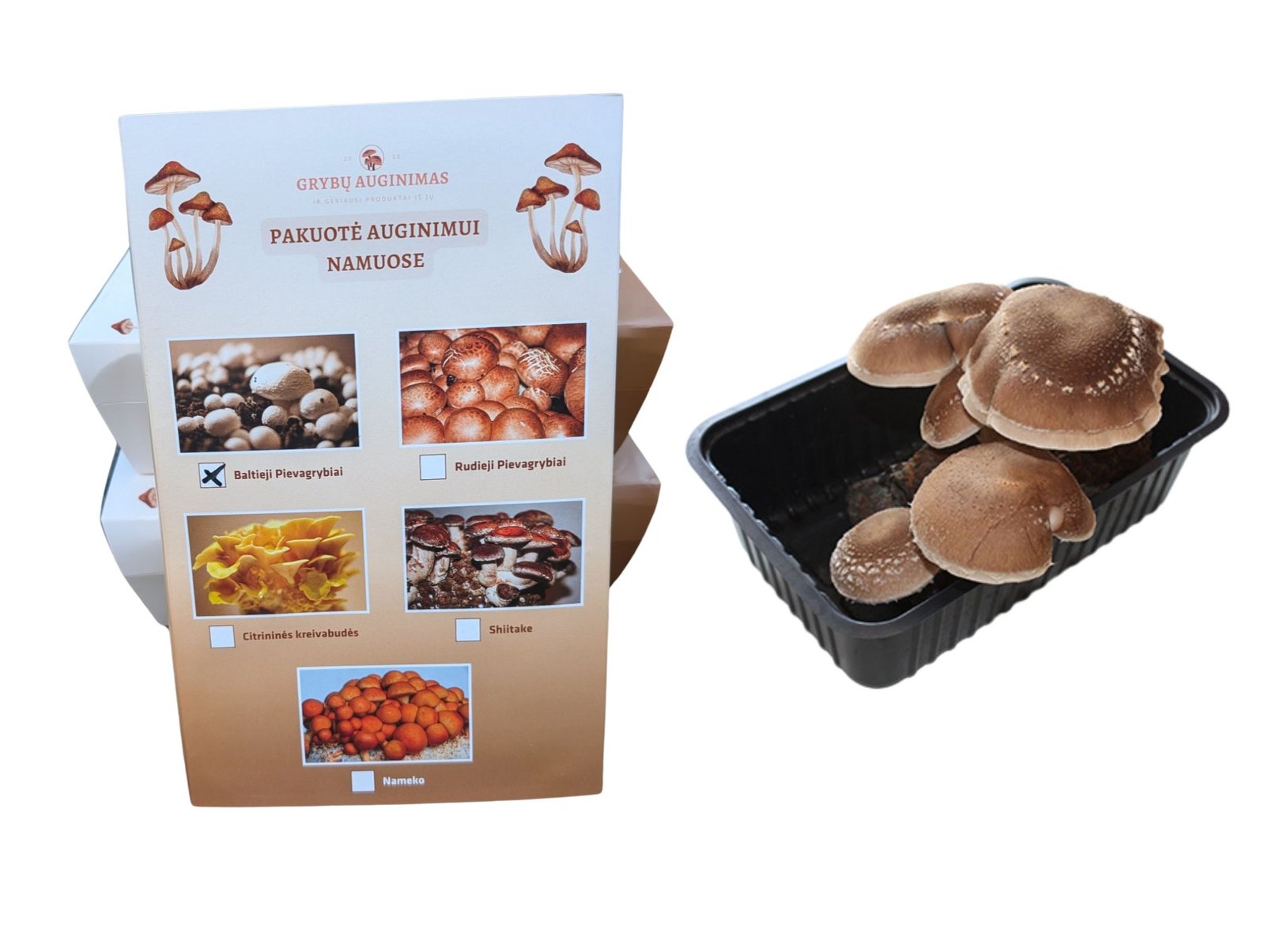 Shiitake auginimo pakuotė