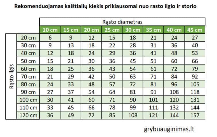 Kaištelių kiekis priklausomai nuo rąsto dydžio