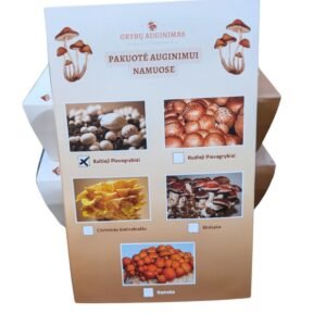Grybų auginimo pakuotė