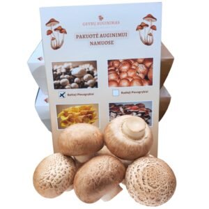 Rudųjų pievagrybių auginimo pakuotė