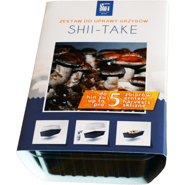 Valgomasis dantenis Šitakis - Shiitake (Lentinula edodes)