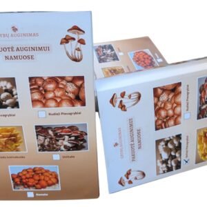 Dvi grybų auginimo pakuotės