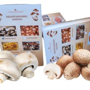 Dvi grybų auginimo pakuotės baltieji ir rudieji pievagrybiai