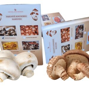 Dvi grybų auginimo pakuotės baltieji pievagrybiai ir shiitake