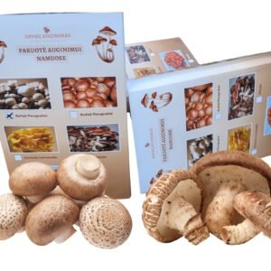 Dvi grybų auginimo pakuotės Rudieji pievagrybiai ir shiitake
