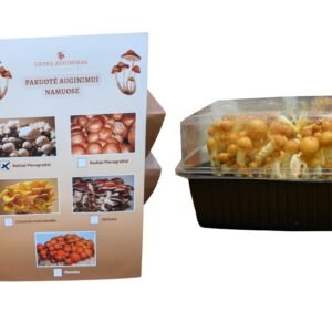 Nameko grybų auginimo pakuotė