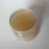 agar