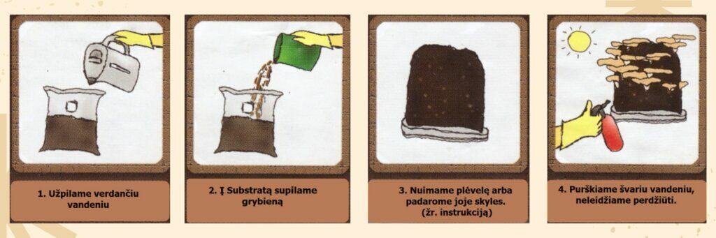 Substrato grybams gaminimo mini instrukcija