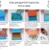 Kapsuliatoriaus naudiojimo instrukcija