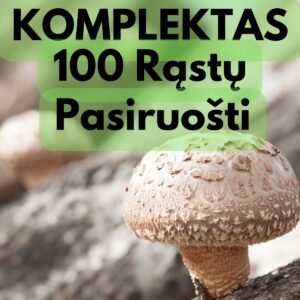 Kompletas shiitake grybų auginimui