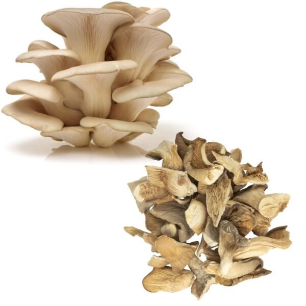 Džiovinta Gluosninė kreivabudė - Oyster Mushroom (Pleurotus ostreatus)