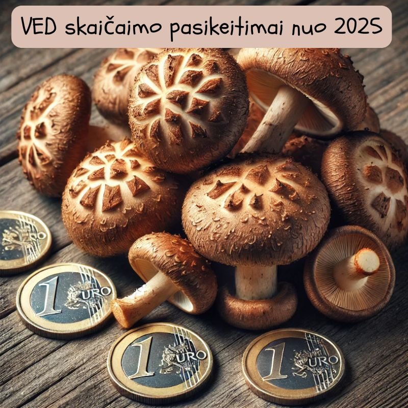 VED skaičiaimo pasikeitimai nuo 2025 metų