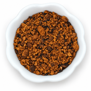 Juodasis beržo grybas, įžulnusis skylenis, čaga - Chaga (Inonotus obliquus)