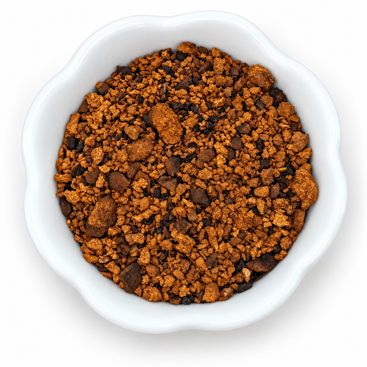 Juodasis beržo grybas, įžulnusis skylenis, čaga - Chaga (Inonotus obliquus)